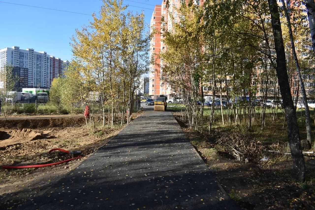 Предоставлено пресс-службой депутата Мособлдумы Тараса Ефимова