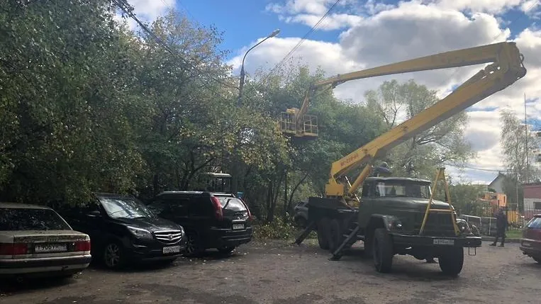 Подрядчик приступил к вырубке аварийных деревьев на Луговом переулке в Подольске