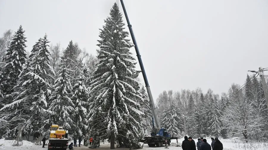 Главная елка РФ в Кремле — вторая по высоте среди конкурентов в столицах ЕС