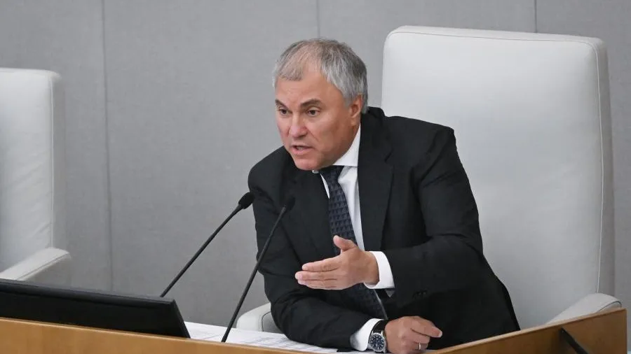 Володин: законопроекты по миграционной политике рассмотрят и примут до декабря