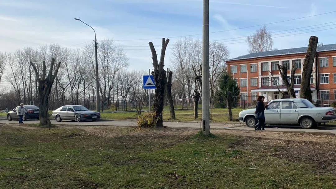 Деревья кронировали в поселке Подольска по просьбе жителей