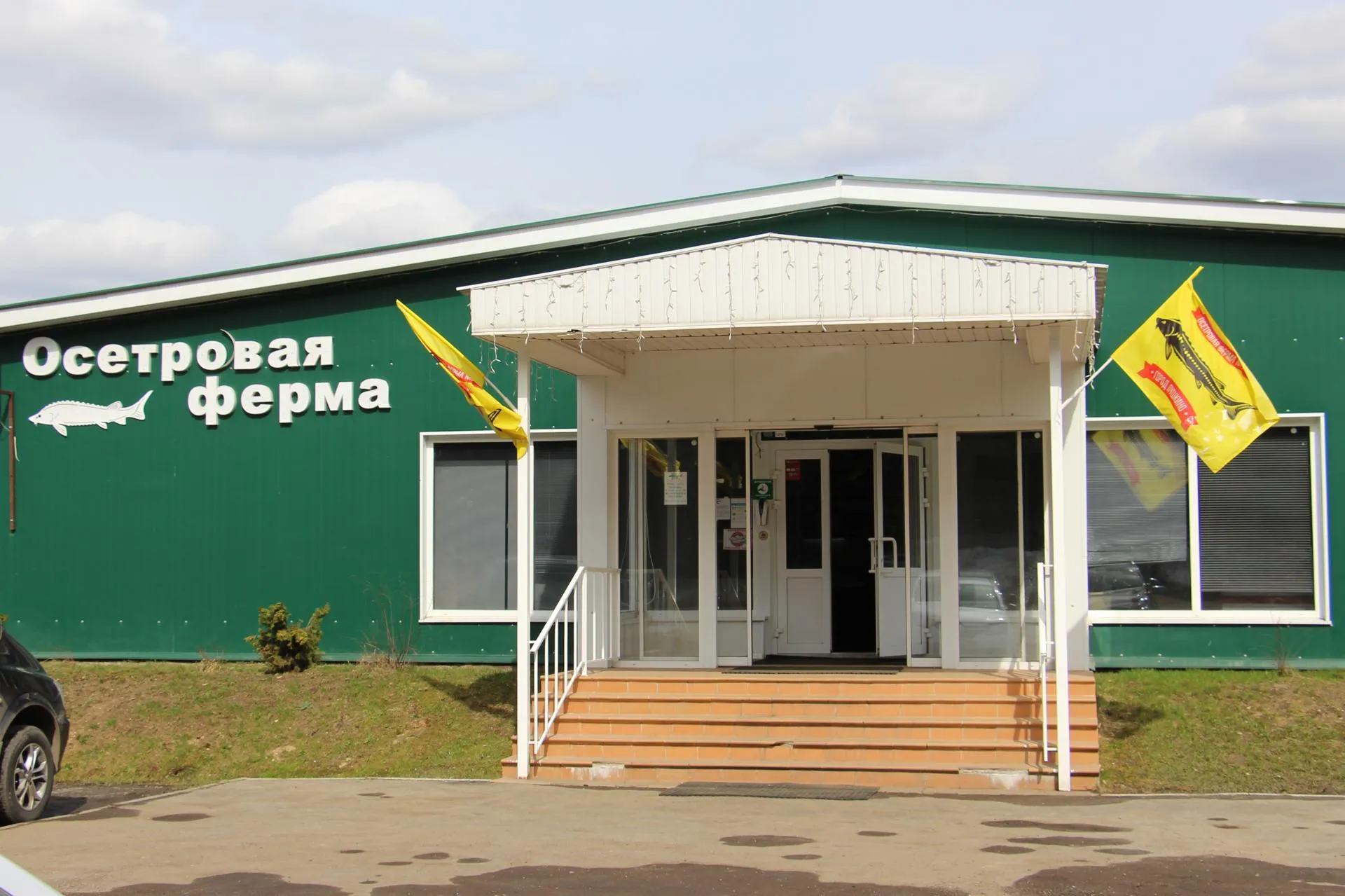 Елена Харитонова