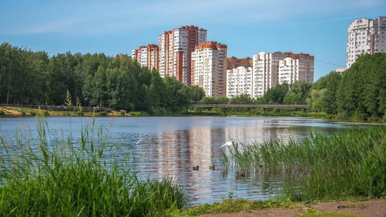 В Балашихе расчистили водную гладь 2 водоемов в 2024 году