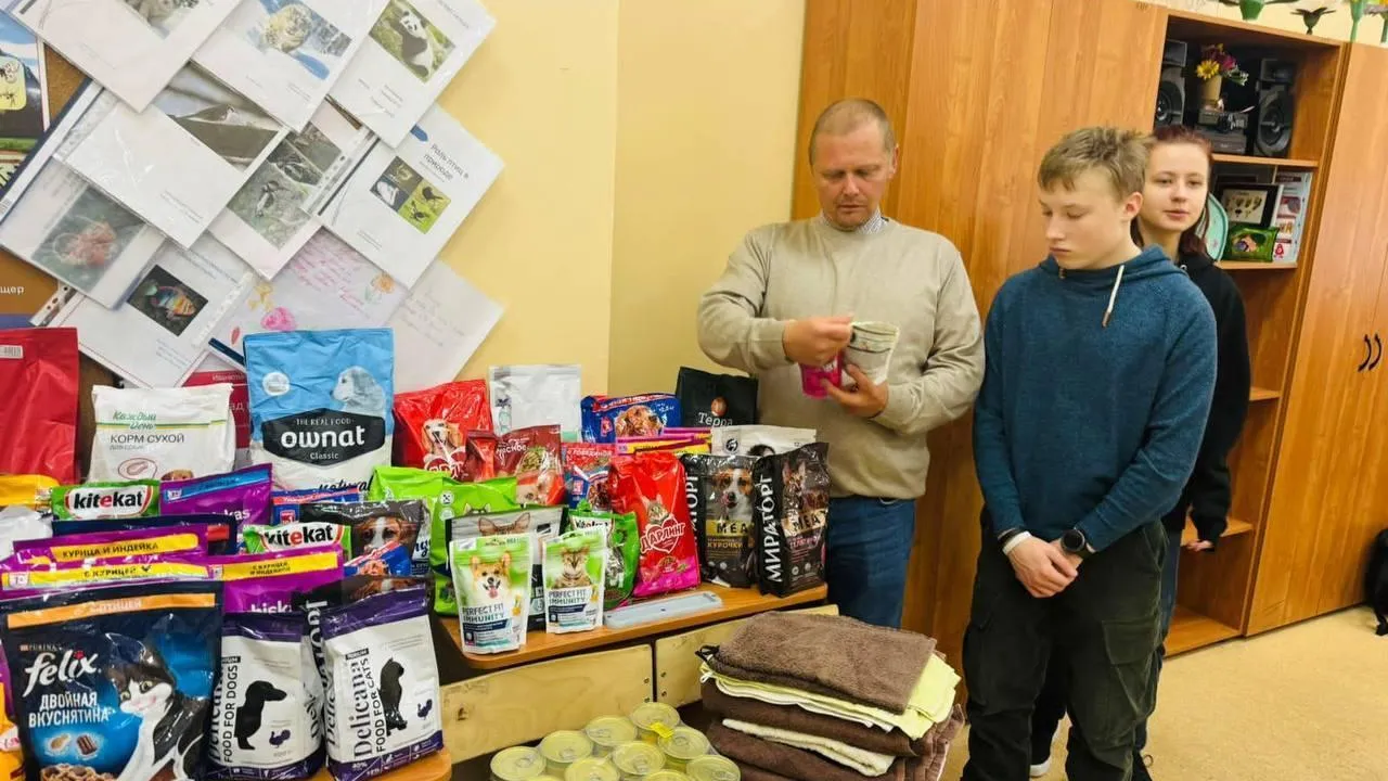 Более 350 кг корма собрали в Красногорске для бездомных животных