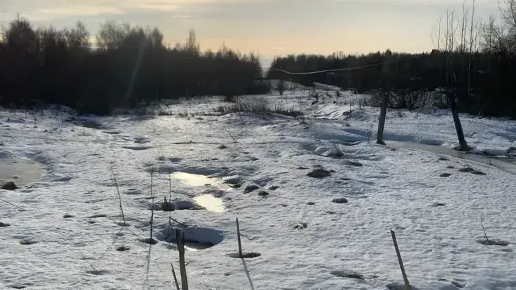 В Подмосковье на земельно-имущественные торги выставили 86 объектов за неделю