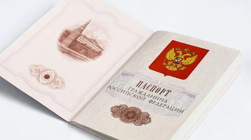 Гражданство 1 тыс натурализованных граждан было прекращено в РФ за полгода