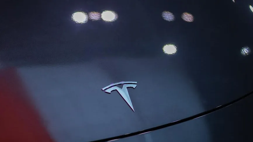 Жительница Подмосковья просит Маска вернуть в Tesla отключенные функции
