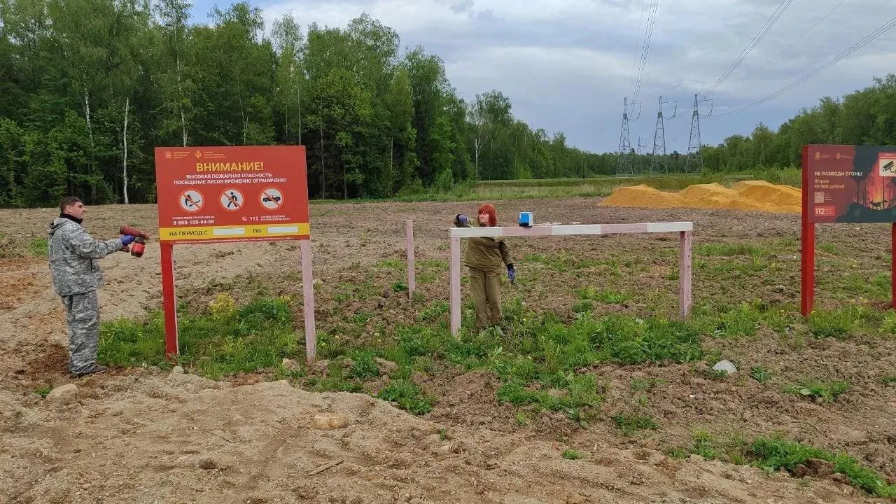 В Домодедове усилили контроль за лесами в пожароопасный сезон