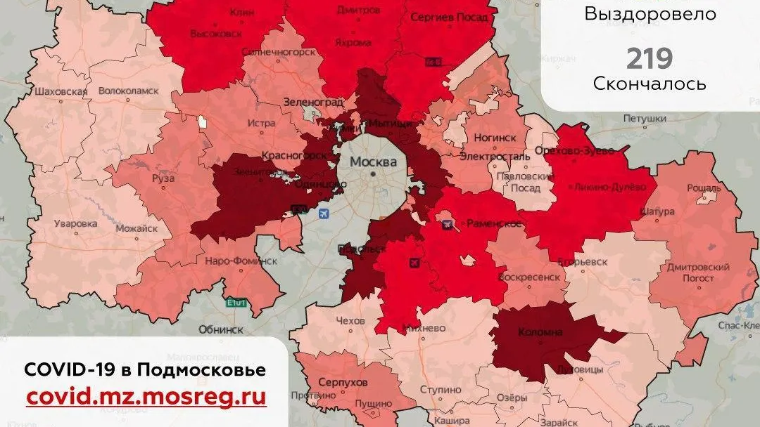 Названы округа‑лидеры по новым выявленным случаям коронавируса в Подмосковье