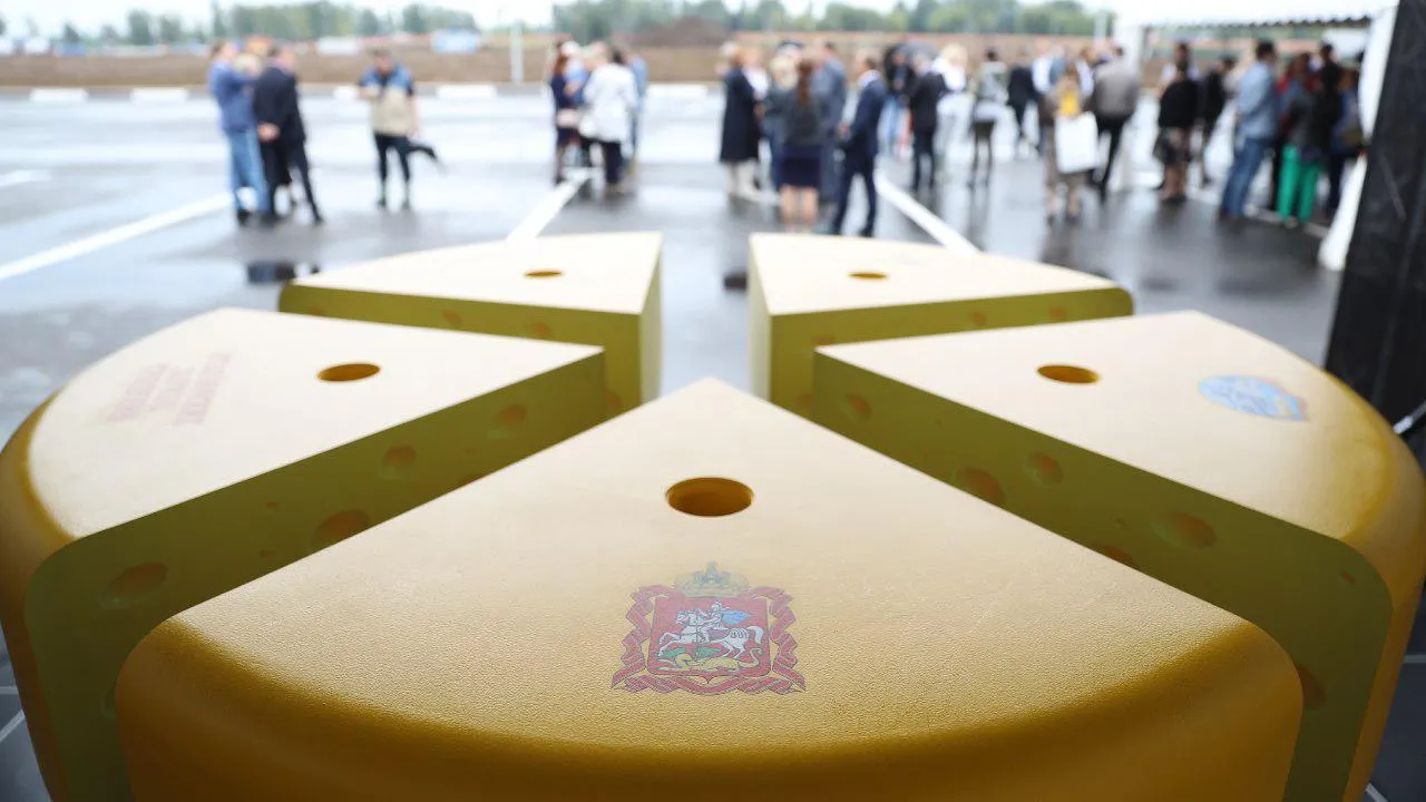 Воробьев указал на необходимость максимально поддерживать резидентов сырного кластера