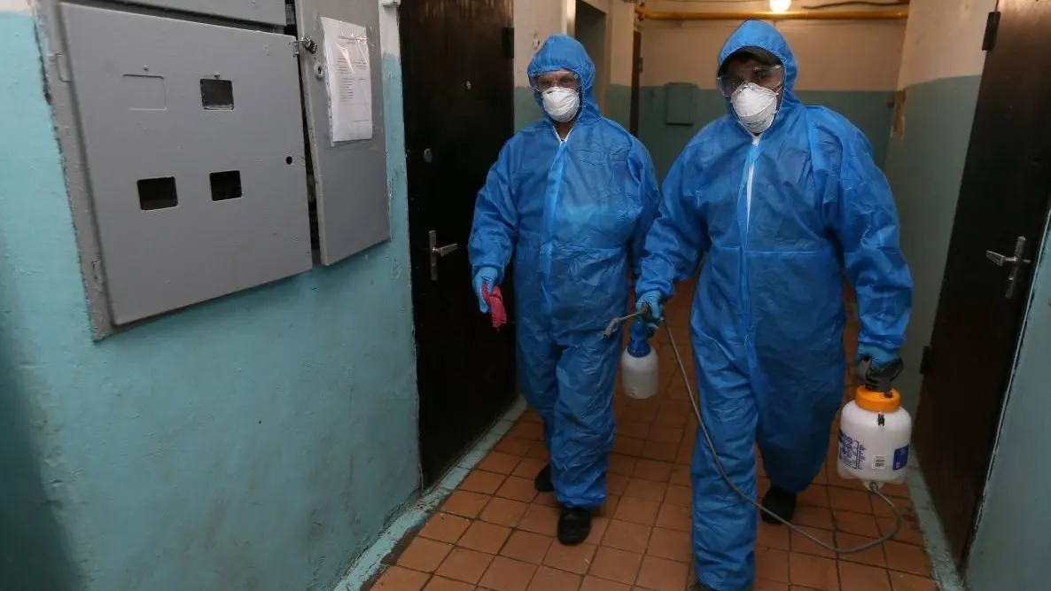 Около 4 тыс задач по ликвидации грызунов в подъездах Подмосковья решили в 2024 году