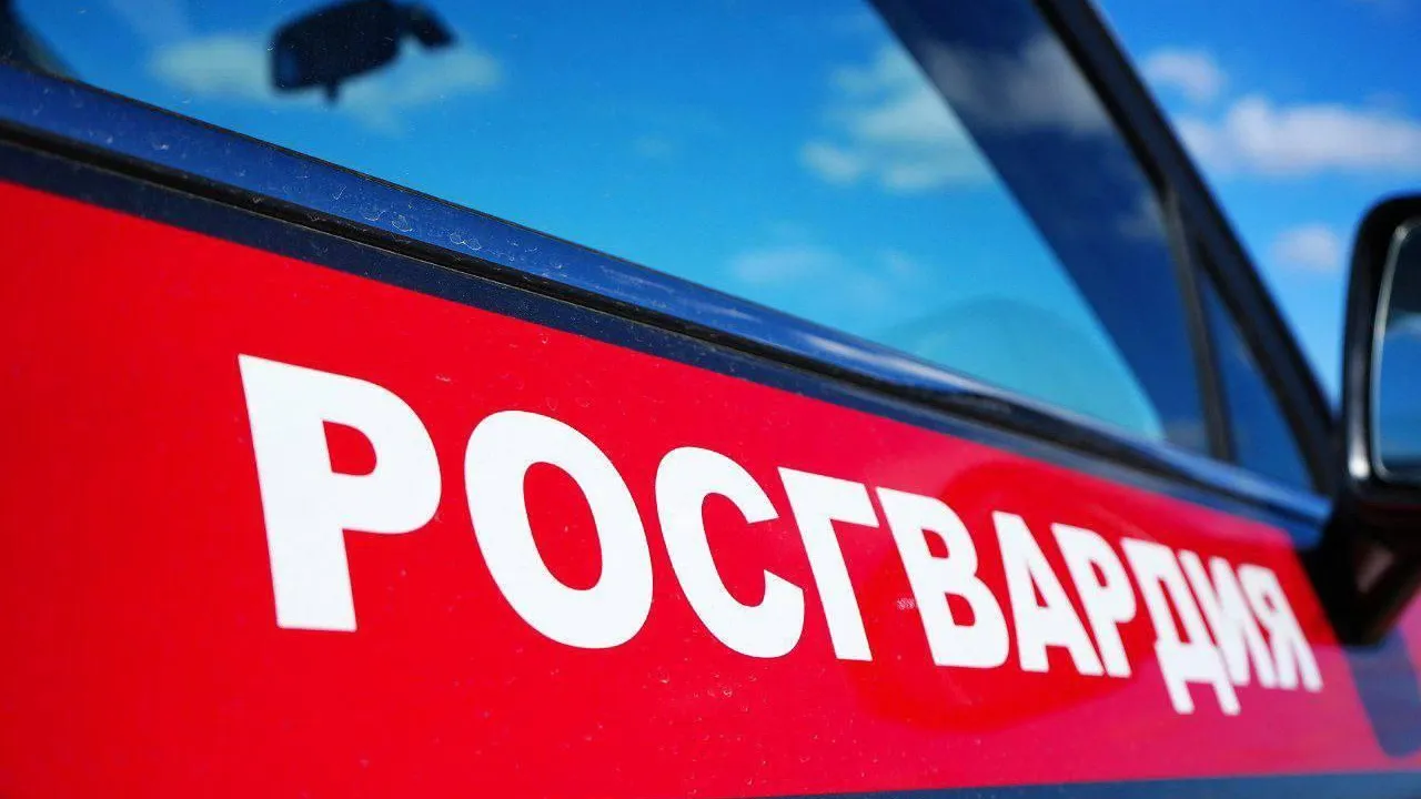 Росгвардия задержала мужчину после ножевого ранения в торговом центре Ленинского округа