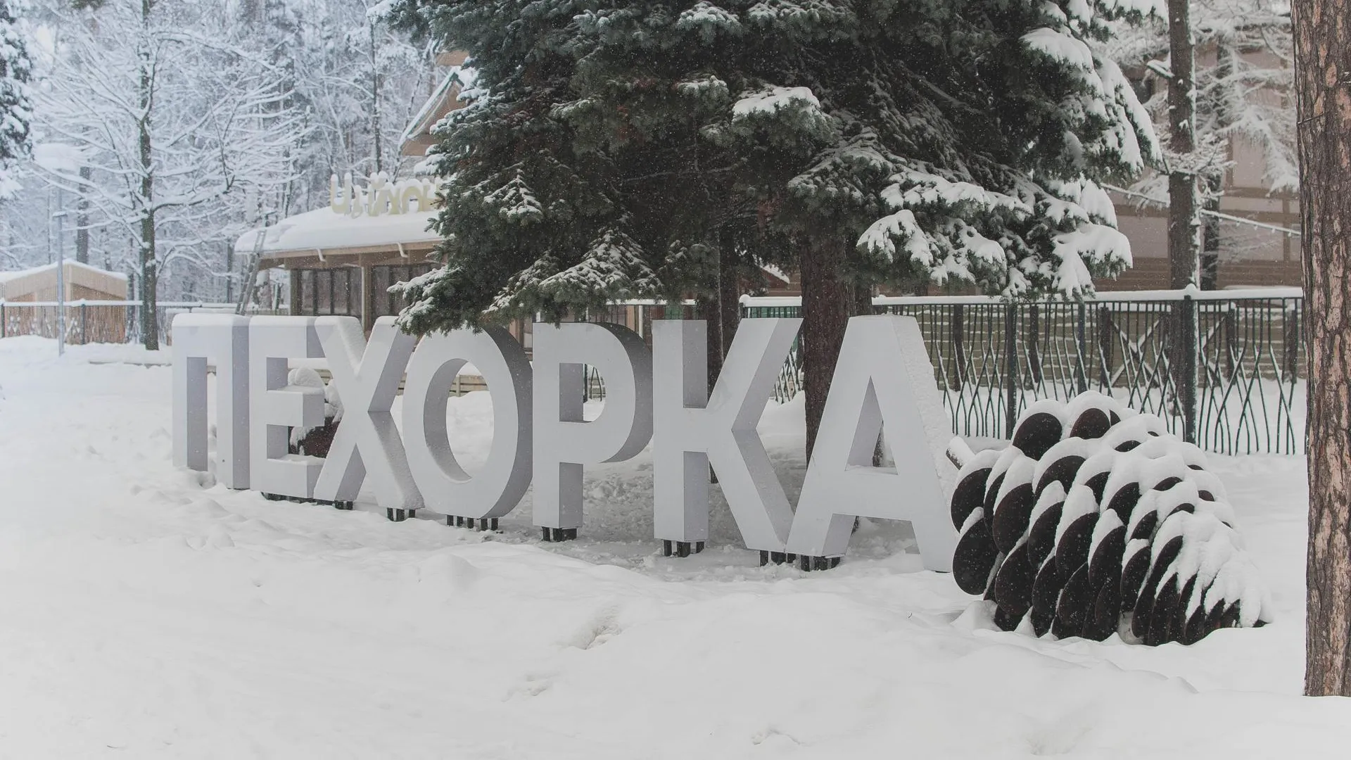Новые аттракционы установят в парке «Пехорка» в Балашихе в сентябре 2018 года