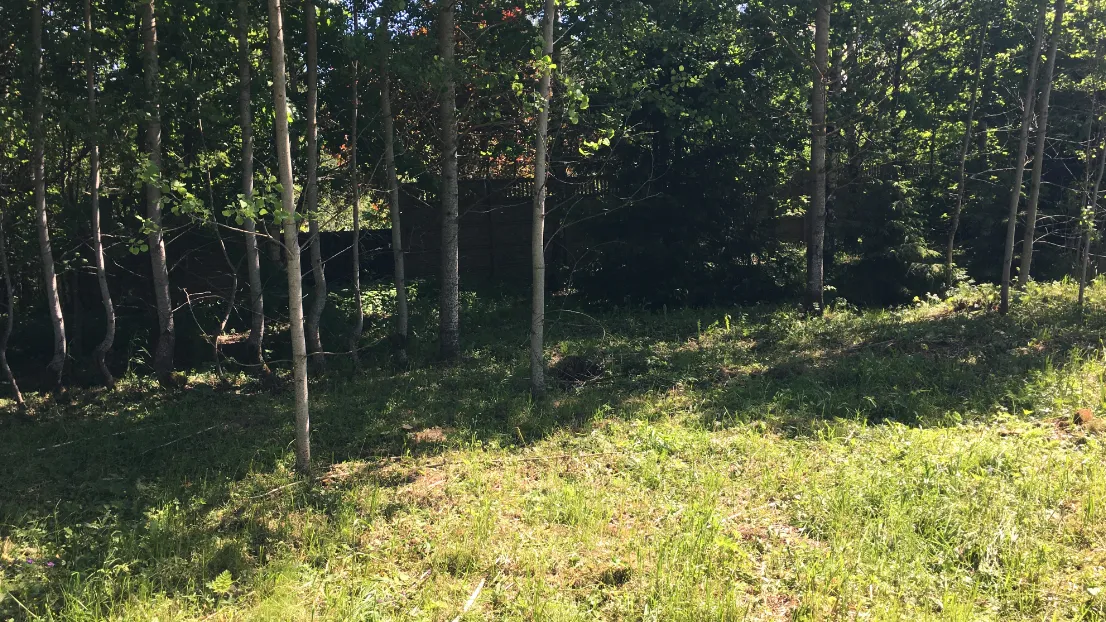 В округе Пушкинский на торгах выставлено 37 участков под строительство дома