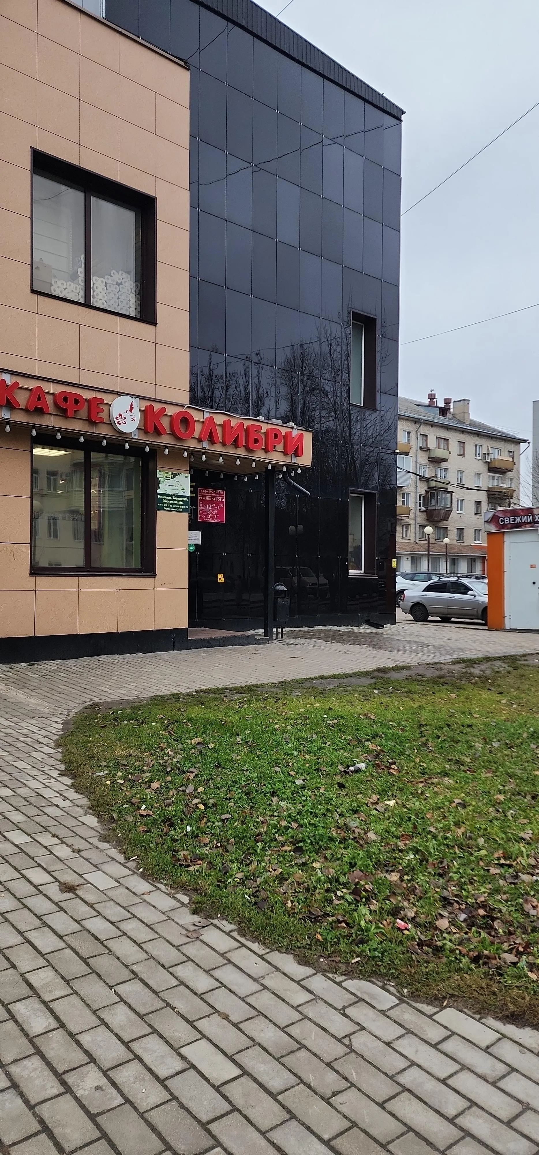 Нина Басистая