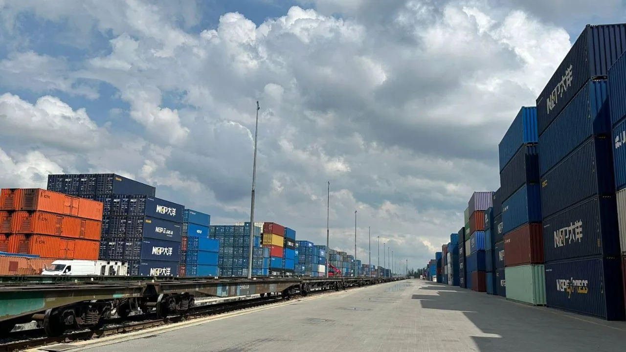 В Подмосковье в январе демонтировали пять нелегальных площадок хранения контейнеров