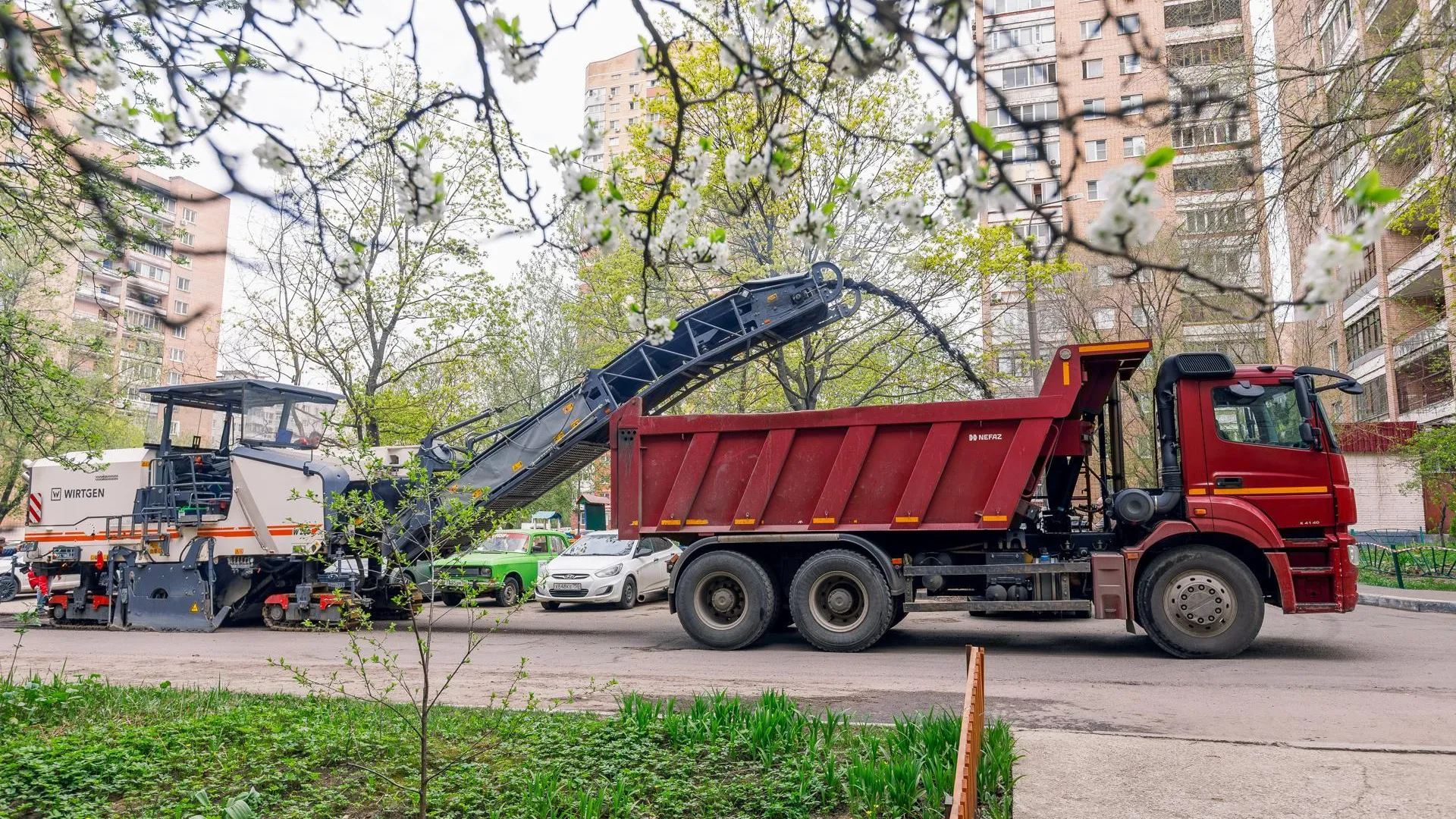 В Подмосковье опубликовали более 40 социально значимых закупок за неделю
