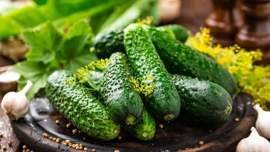 Впервые с начала осени в России подешевели огурцы