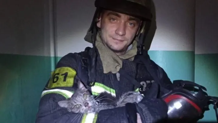 В Орехово‑Зуеве во время пожара спасли двух кошек