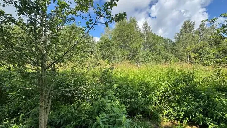 В Подмосковье за неделю выставили на торги 136 новых объектов недвижимости