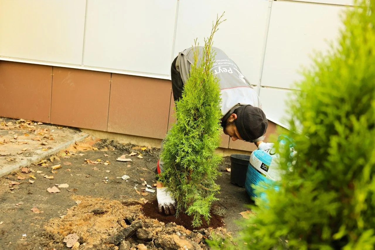 Пресс-служба главы городского округа Станислава Каторова