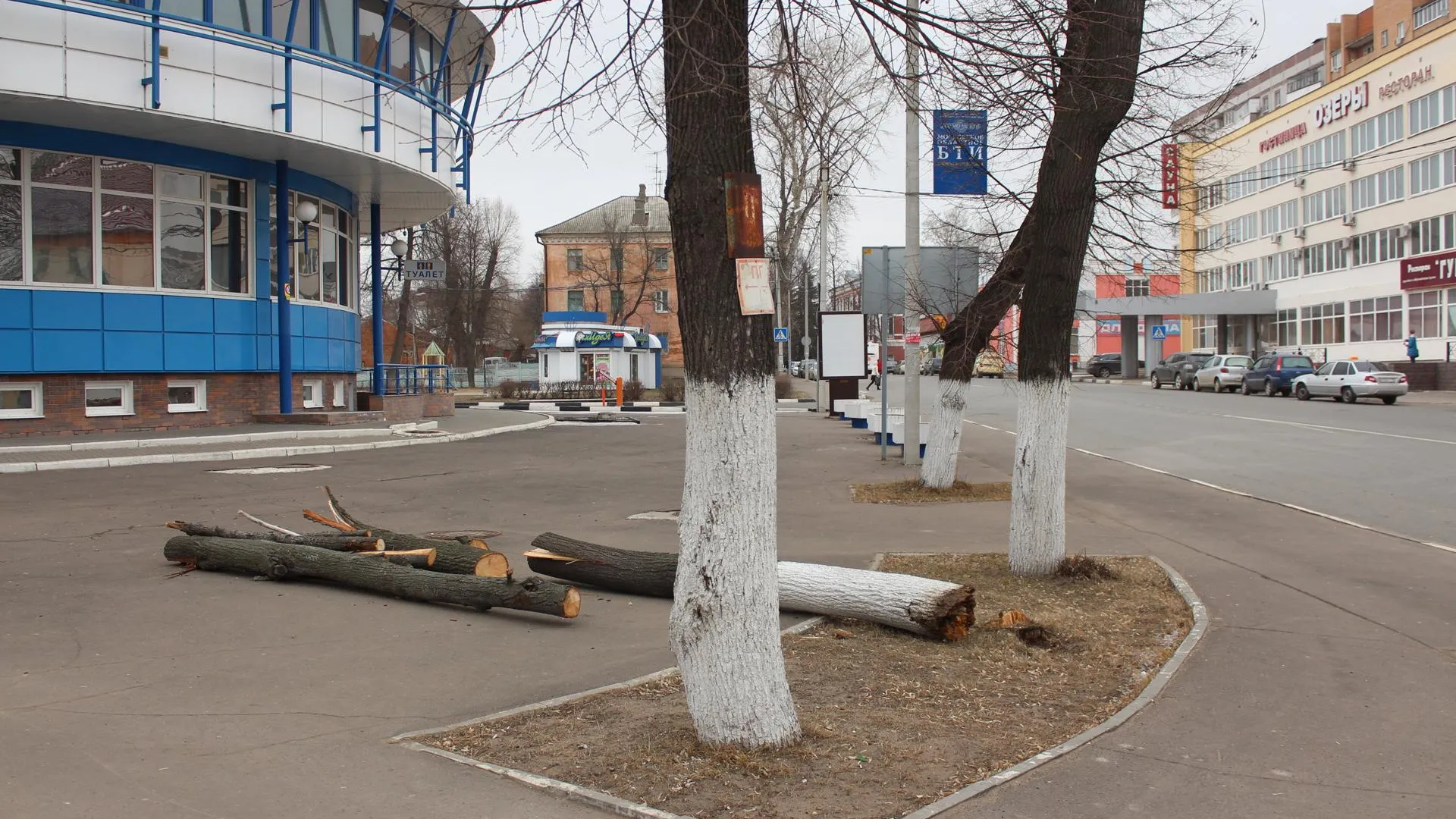 Дорожные службы устранили последствия урагана в Подмосковье