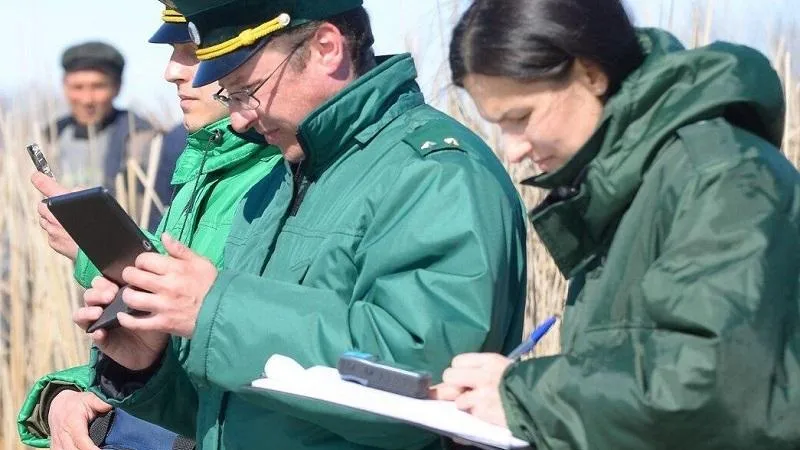 Жительница Волоколамского округа незаконно построила плотину и изменила русло реки