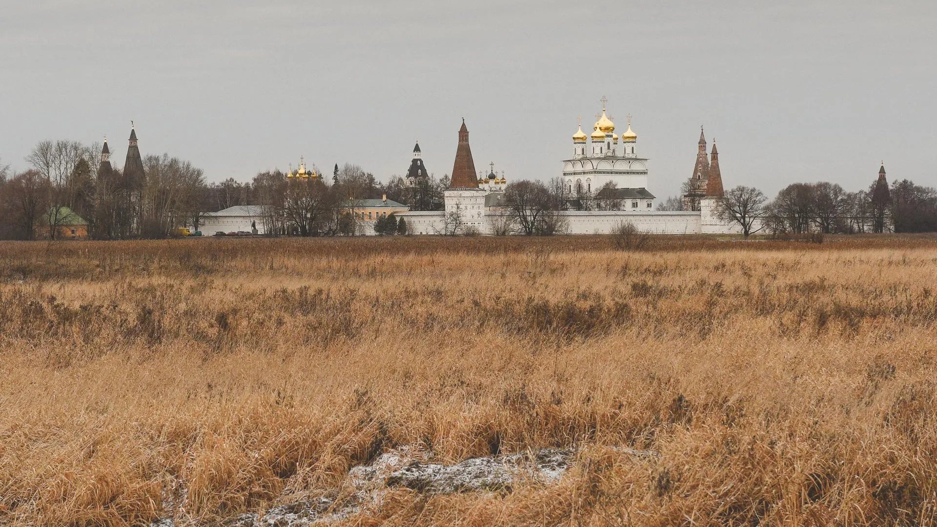 Волоколамский район может стать площадкой для всероссийских исторических фестивалей