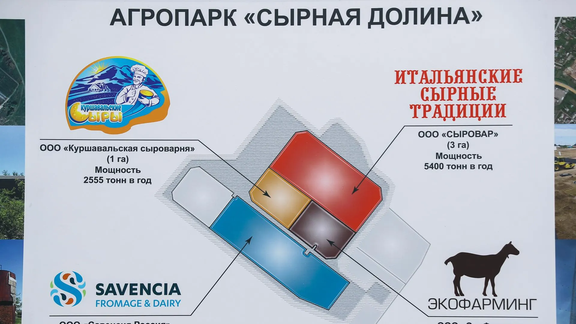 Запуск сырного кластера простимулирует производство молока в Подмосковье