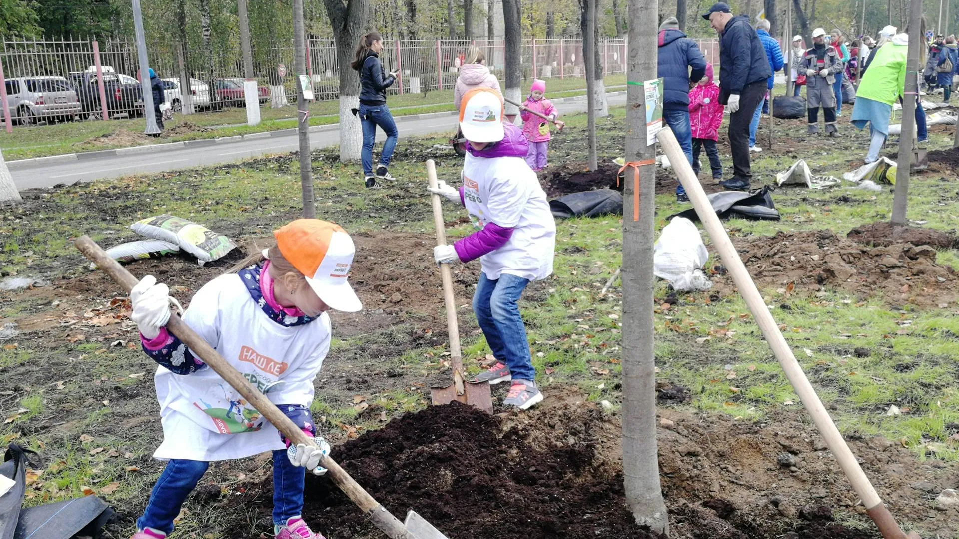 Около 2 тыс деревьев и кустарников высадили в ходе экоакции «Наш лес» в Королеве
