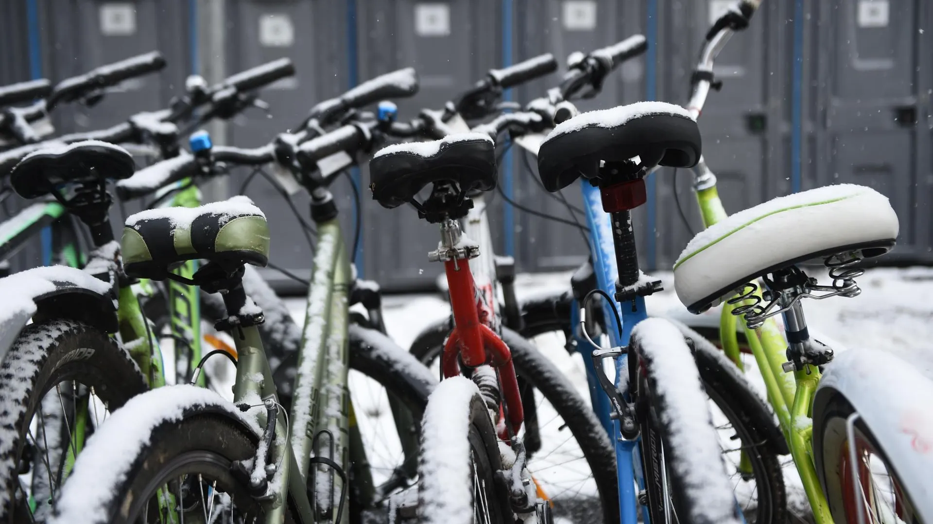 Власти Москвы прокомментировали отказ Let’s bike it! от проведения Зимнего велопарада