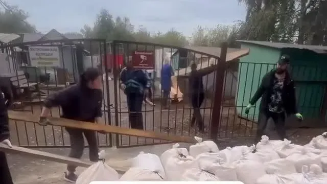 Закрытые ворота и голодные собаки в клетках: скандал вокруг приюта в Иванове