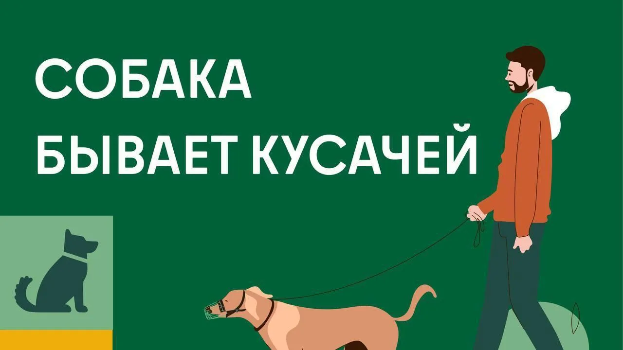 В Подмосковье увеличат ответственность владельцев за нападение собак