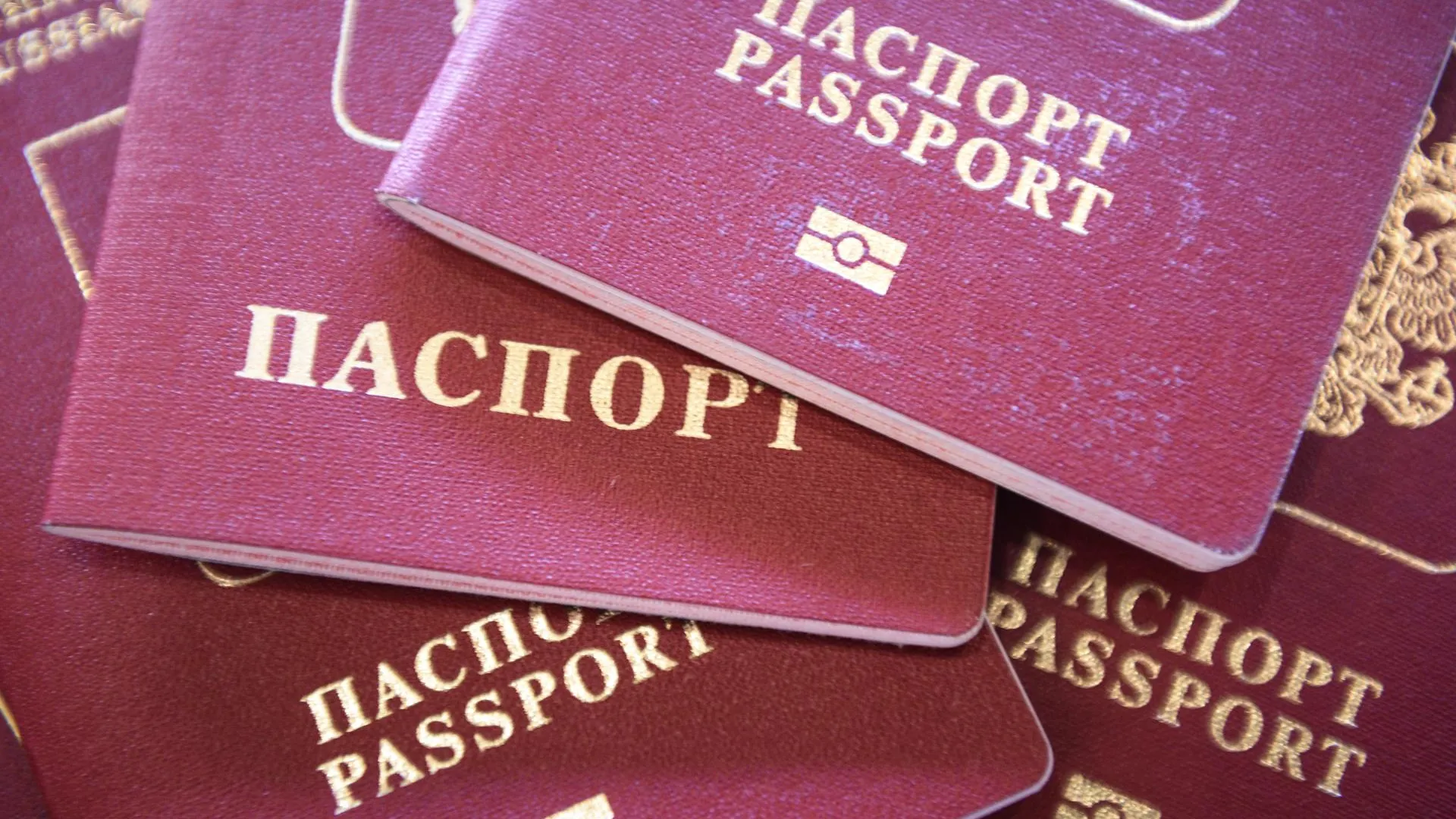 80 заявлений на получение загранпаспорта подали в криптобиокабине МФЦ Мытищ в феврале