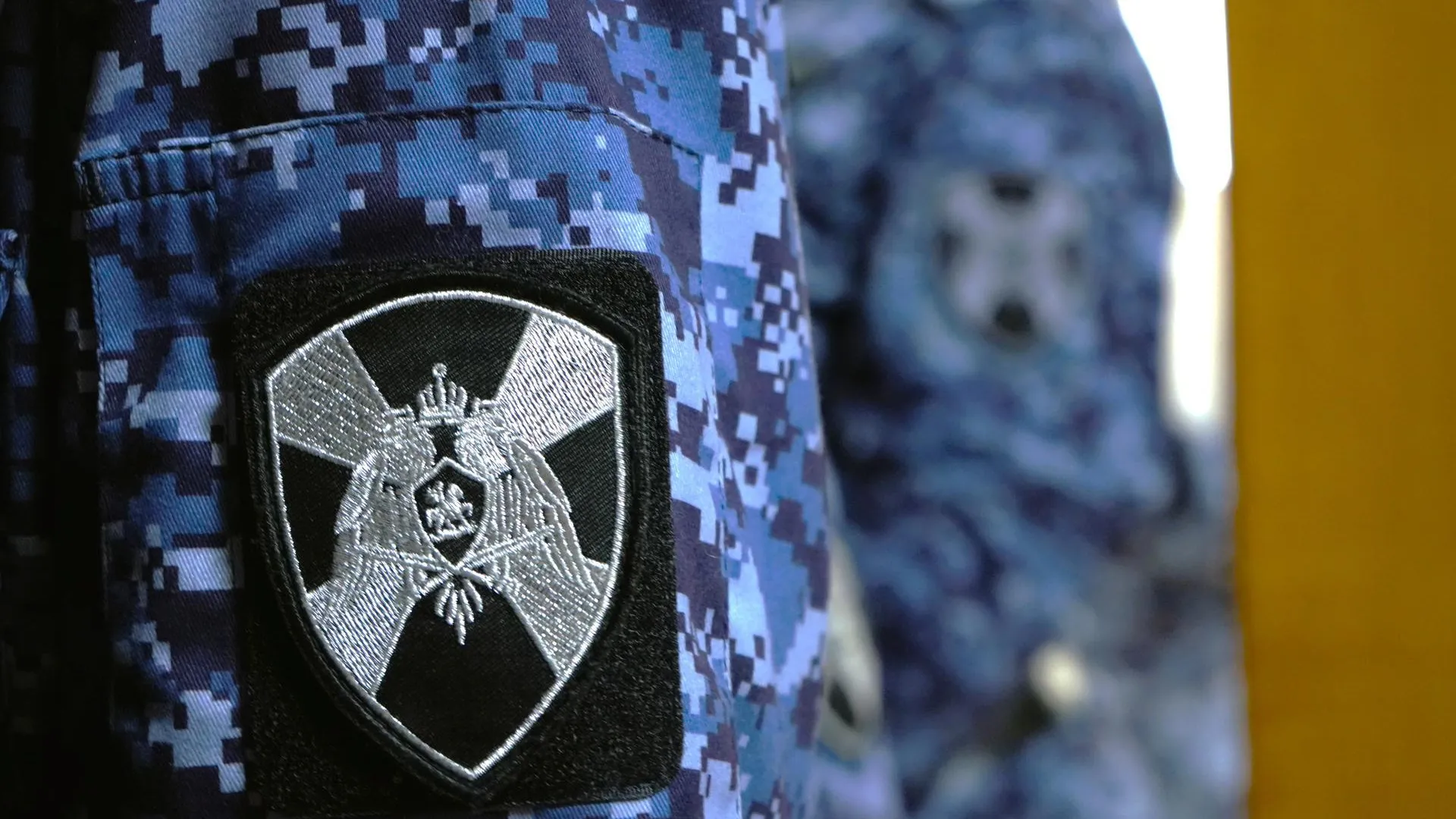 Росгвардейцы Подмосковья задержали подозреваемого в краже из супермаркета