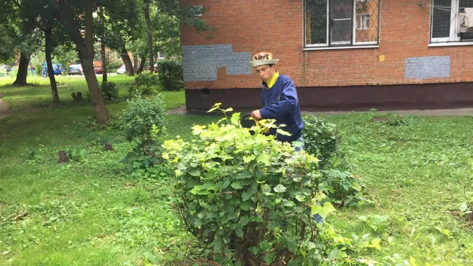 УК скосила траву и обрезала кусты в микрорайоне Климовск Подольска
