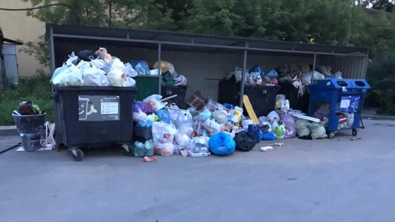 Мусор с контейнерной площадки в Красногорске вывезли по просьбе жителя