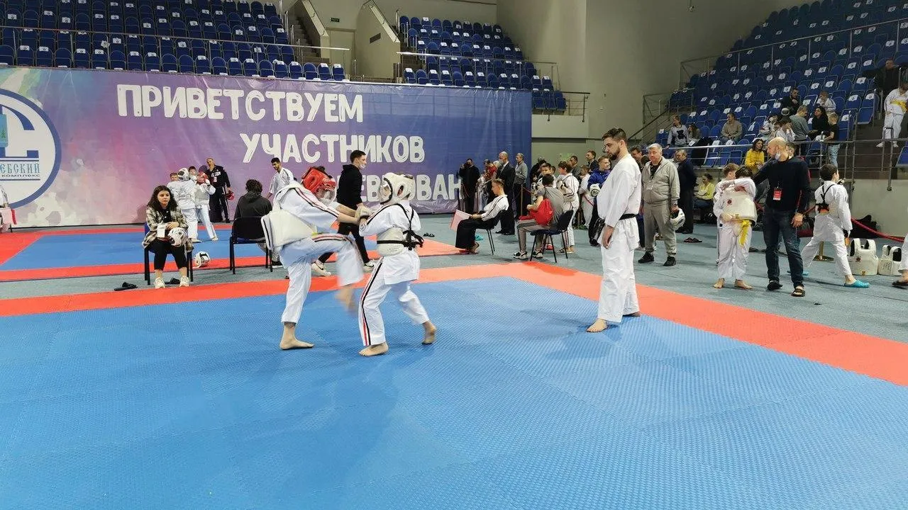 В Раменском округе пройдет фестиваль боевых искусств «Кубок АНТА 2024»