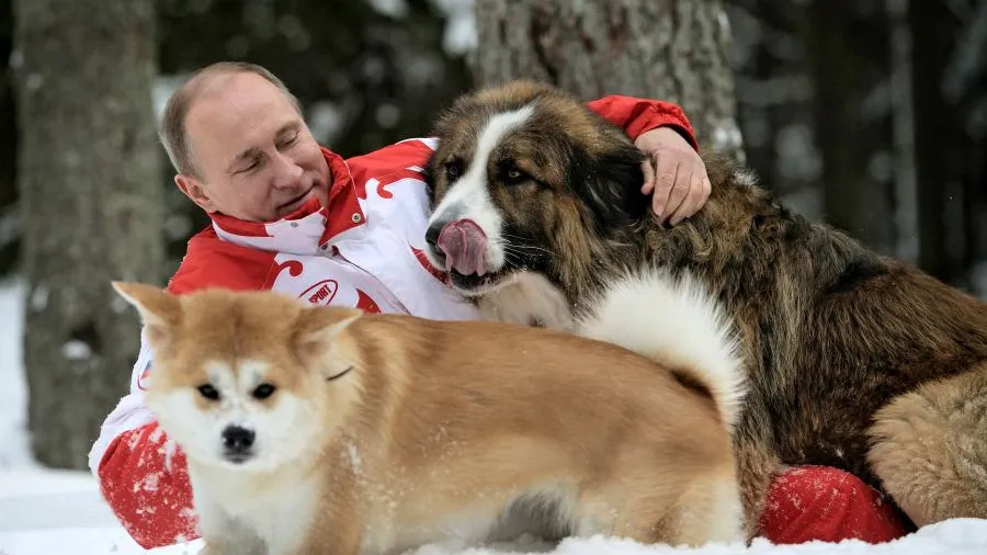 Алексей Дружинин