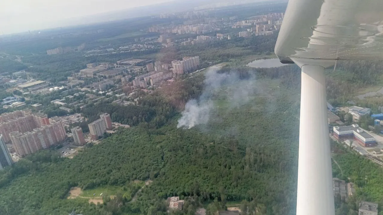 Почти 100 лесных пожаров потушили в Подмосковье с начала года