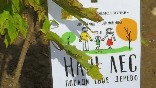 Около 200 тыс человек посетят акцию «Наш лес. Посади свое дерево» в Подмосковье