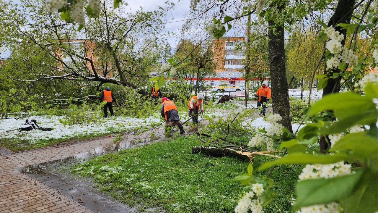 Прокуроры контролируют работы по ликвидации последствий непогоды в Подмосковье
