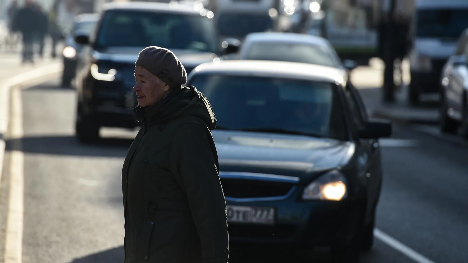 В Домодедове трудоустроено около трети пенсионеров округа