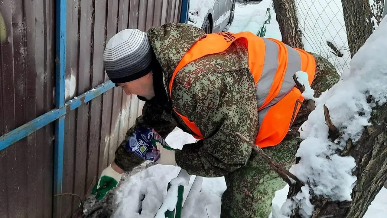 Дератизацию провели в Павшинской пойме Красногорска по просьбе жителей