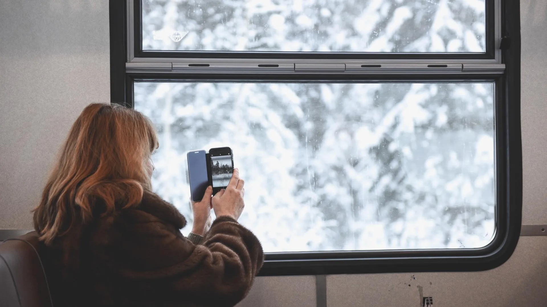 Жители Московского региона поделились в Сети фотографиями зимней сказки за окном