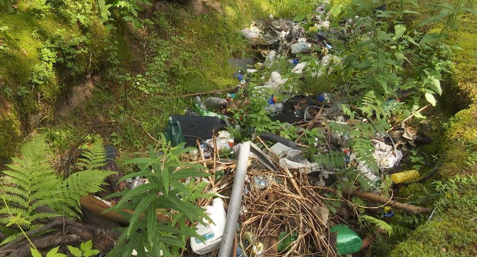 Свалку мусора убрали в реликтовом лесу Клина