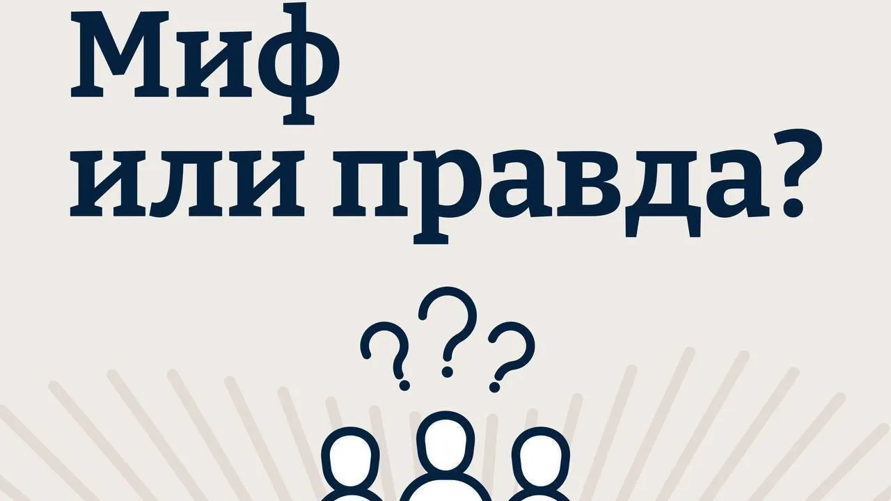 Контейнеры для отходов из переработанного пластика изготавливают в Подмосковье