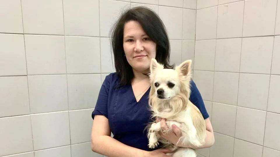 Свыше 8 тыс пользователей Подмосковья записали питомца к ветеринару в режиме онлайн