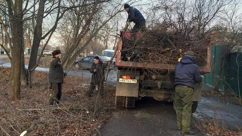 В микрорайоне Климовск Подольска начали опиливать аварийные деревья