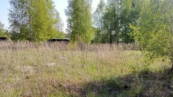 Стал известен топ-3 округов Подмосковья по объектам на торгах за неделю